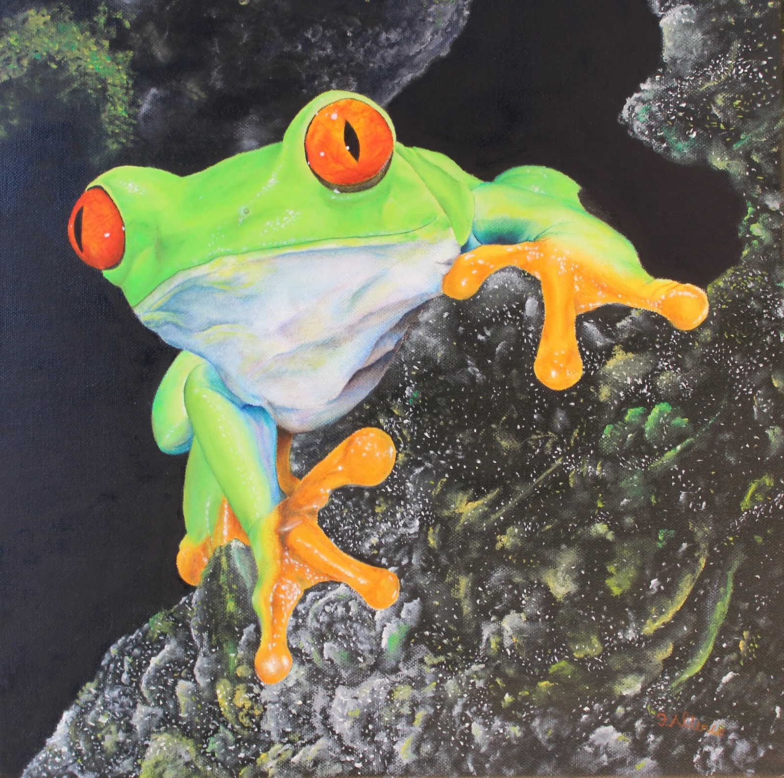 Rana dagli occhi rossi